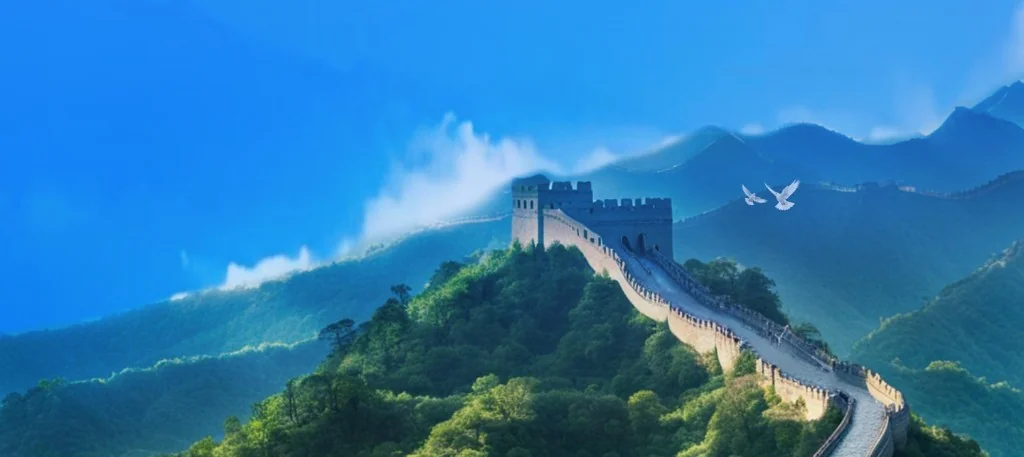 电子税务局官网 · 在线咨询 - 智能问答人工坐席与工单跟踪